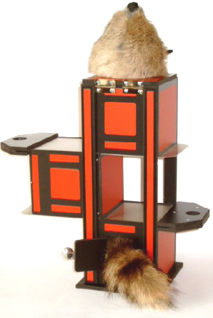 Truc Magic Rocky Raccoon, Accessoire de Magie pour Adultes Truc Magic Rocky Raccoon, Accessoire de Magie pour Adultes
