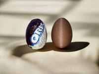 Super Lite Chocolate Egg