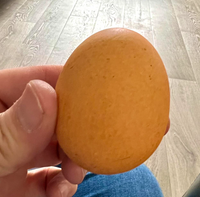 The PERFECT Egg!
