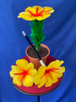 Flito Flower