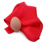 Silk to Egg by Michael Ammar