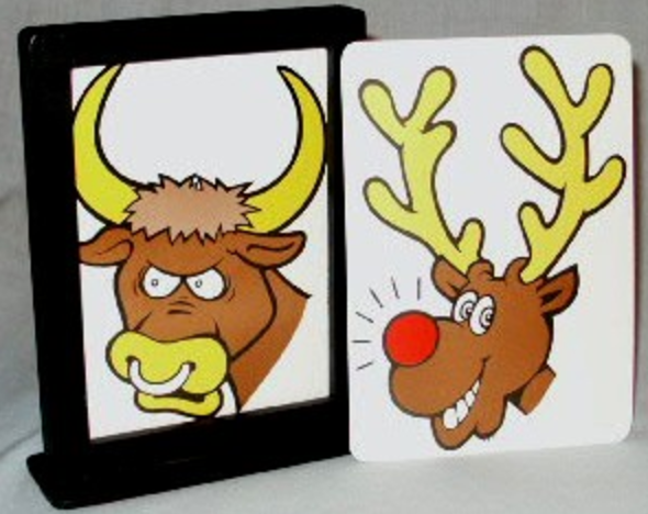Picture Fun Card Sets | Practical Magic Ltd